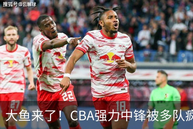 大鱼来了！CBA强力中锋被多队疯抢，或加盟广东队驰援杜锋？
